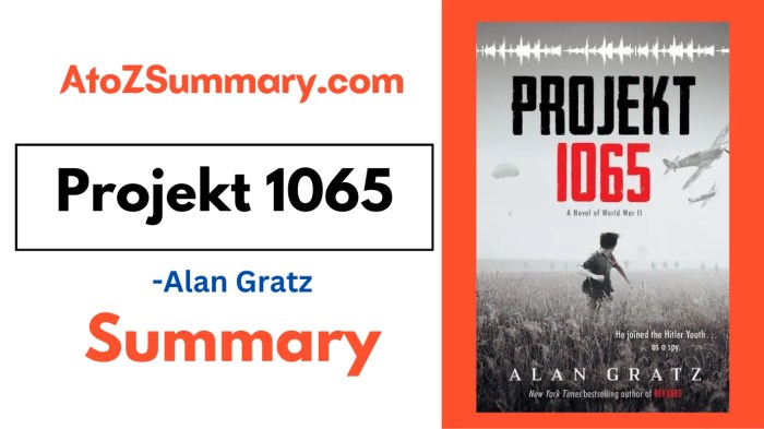 Allies by alan gratz summary