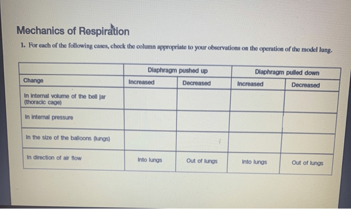 Rate of respiration virtual lab answer key