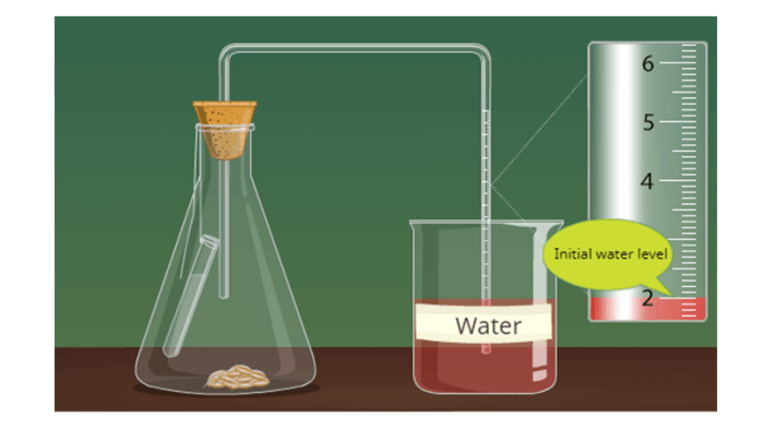 Solved respiration lab transcribed problem