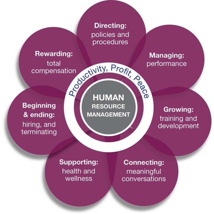 Stt human resources issues and strategies 2020