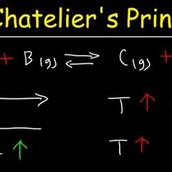 Chemical equilibrium